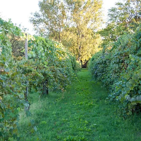Principessa Pio Séjour à la ferme