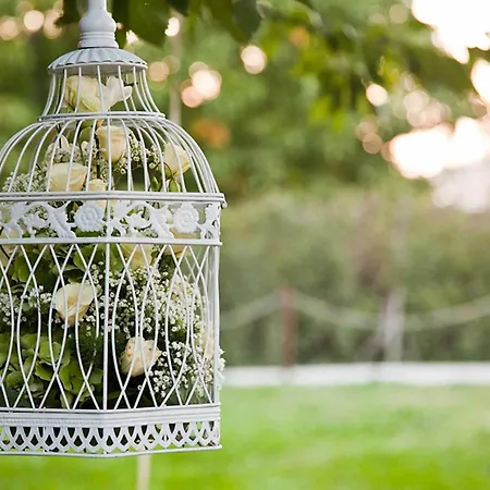 普林西佩萨皮奥乡村民宿