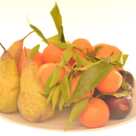 Principessa Pio * Ferrara