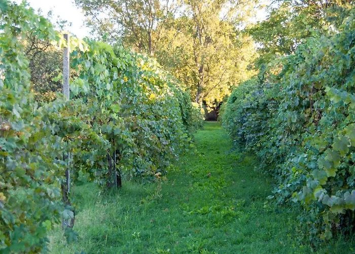 Principessa Pio Vakantieboerderij